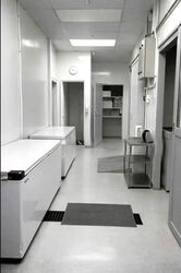 Harper Kitchen (D13), Factory #535718051